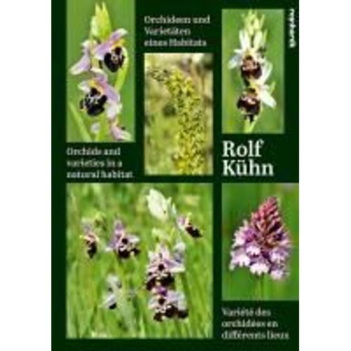 Orchideen Und Varietäten Eines Habitats