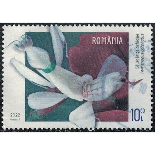 Roumanie 2022 Oblitéré Used Insecte Animal Hymenopus Coronatus Mante Orchidée Y&t Ro 6797 Su