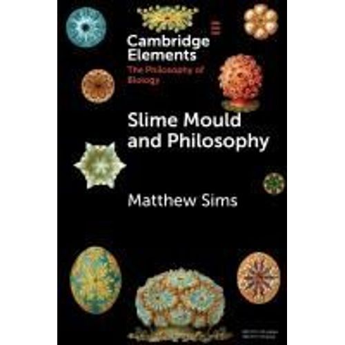Slime Mould And Philosophy