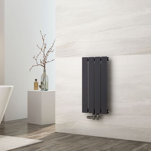 EMKE Radiateur à eau chaude vertical 160 x 53,8 cm, radiateur plat, raccordement central, radiateur à panneau plat, radiateur mural monocouche, 991 watts gris anthracite