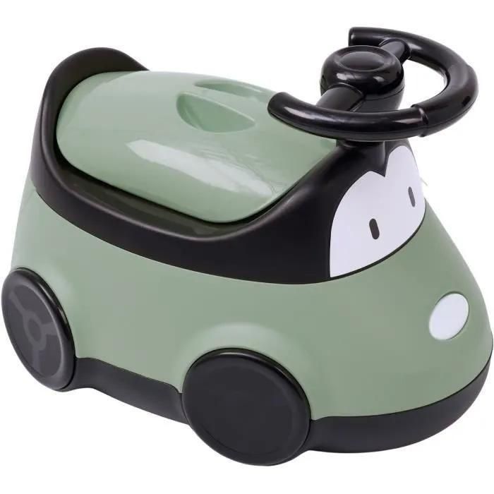 Pot Voiture Vert Sauge