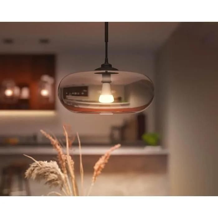 Ampoule Connect�e Philips Hue Wa 75w Standard E27 - 5