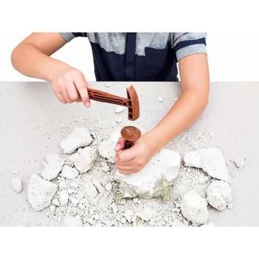 Science & Jeu Laboratoire Arch�o Ludic - T-Rex - 5