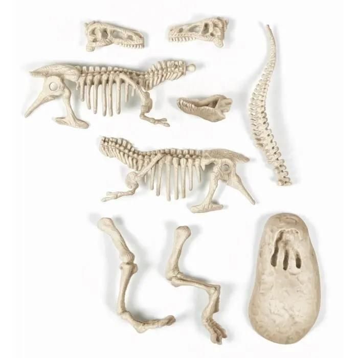 Science & Jeu Laboratoire Arch�o Ludic - T-Rex - 6