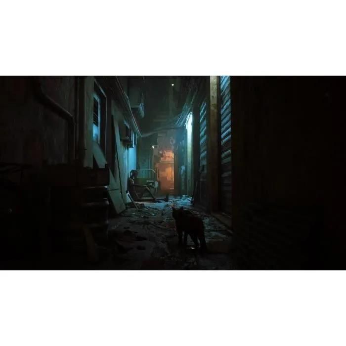 Stray Switch - 5