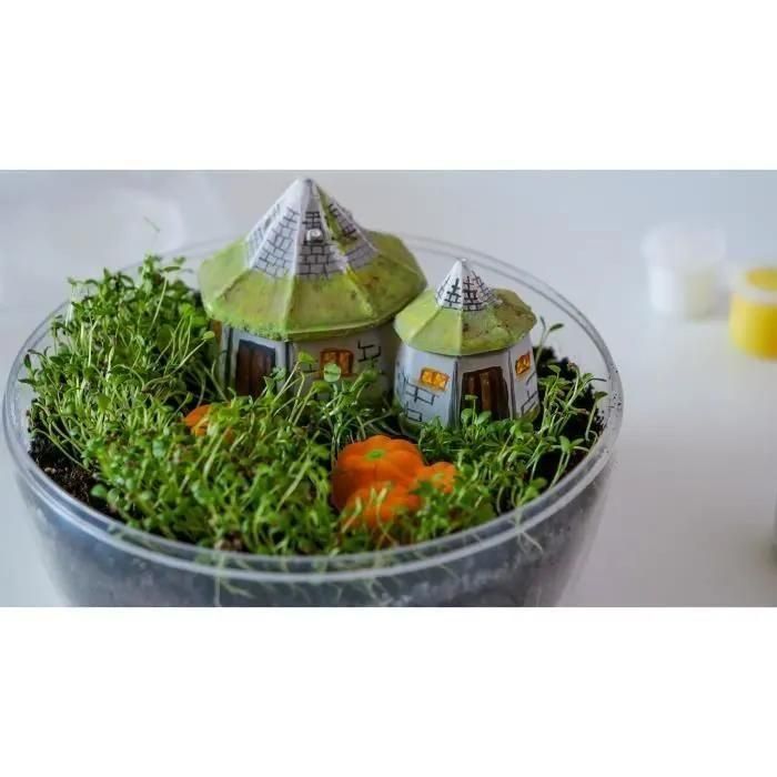 Jeux Licence Terrarium - Harry Potter - 6