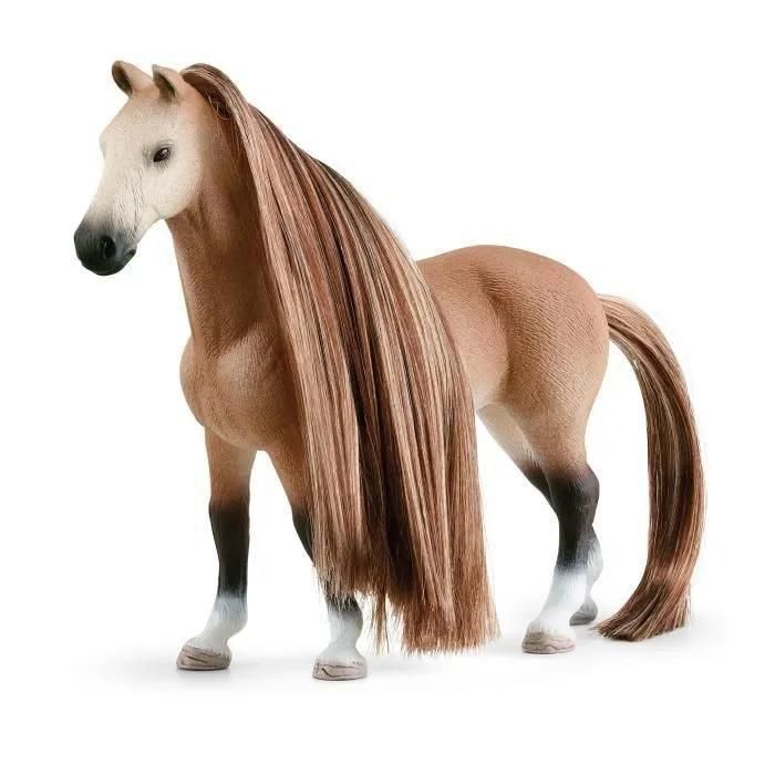 Sofia's Beauties Salon De Beaut Pour Chevaux - 6