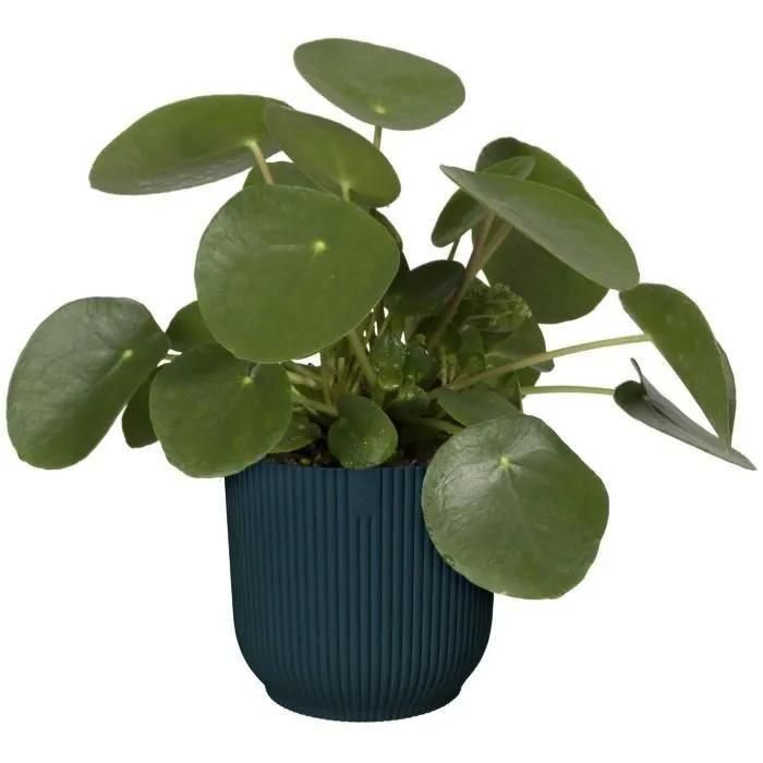 Pot De Fleurs Rond Vibes - Plastique - �25 - Bleu Fonc� - 3