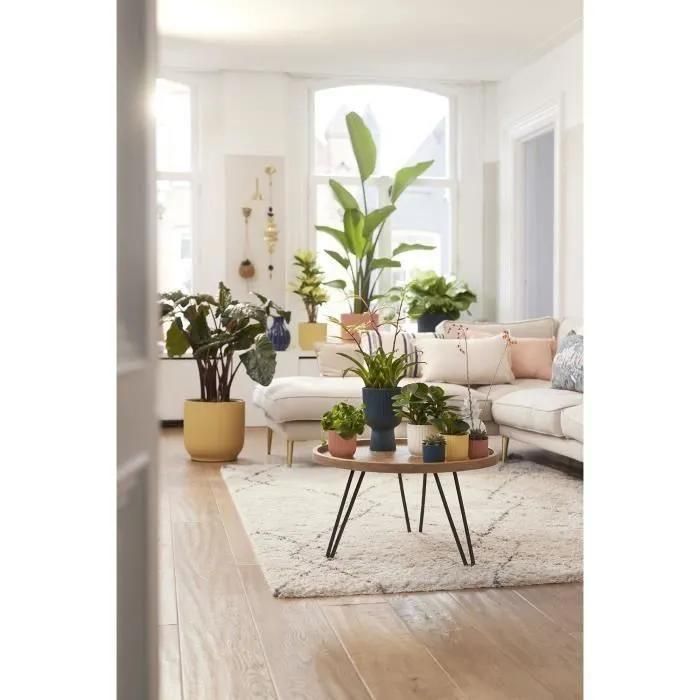 Pot De Fleurs Rond Vibes - Plastique - �25 - Bleu Fonc� - 6