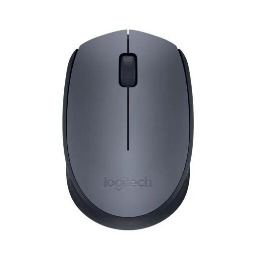 Logitech M170 - Souris - sans fil - 2.4 GHz - r�cepteur sans fil USB