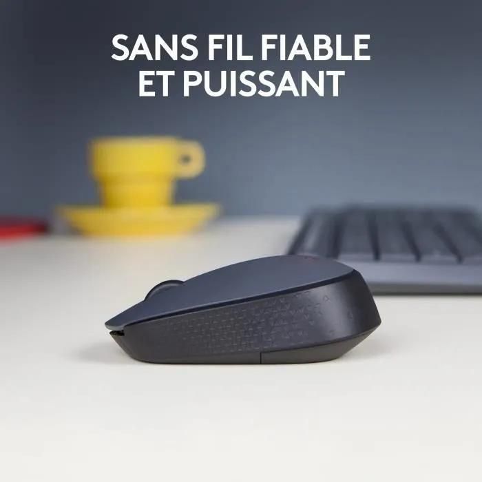 Logitech M170 - Souris - sans fil - 2.4 GHz - r�cepteur sans fil USB - 2