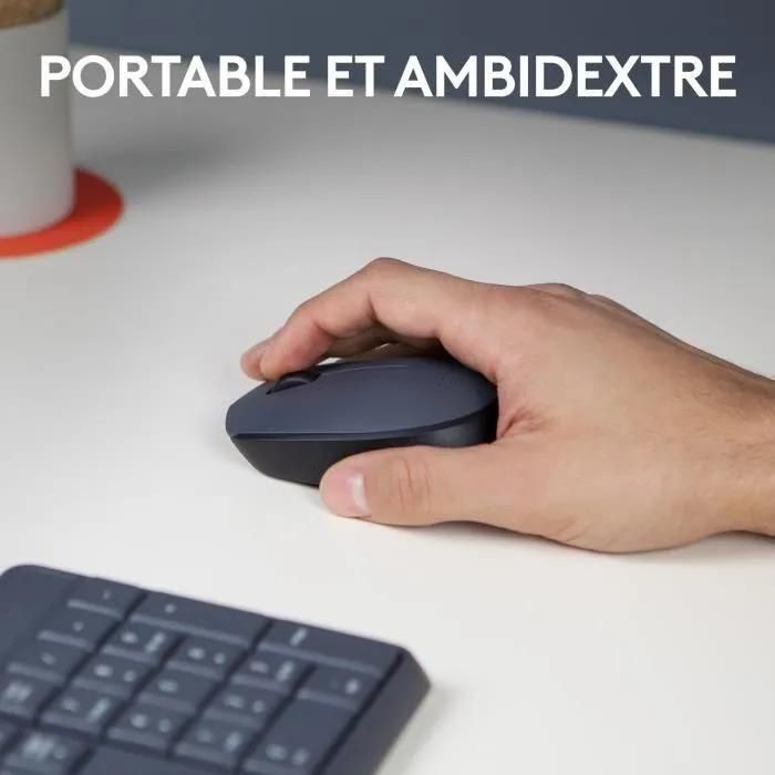 Logitech M170 - Souris - sans fil - 2.4 GHz - r�cepteur sans fil USB - 3