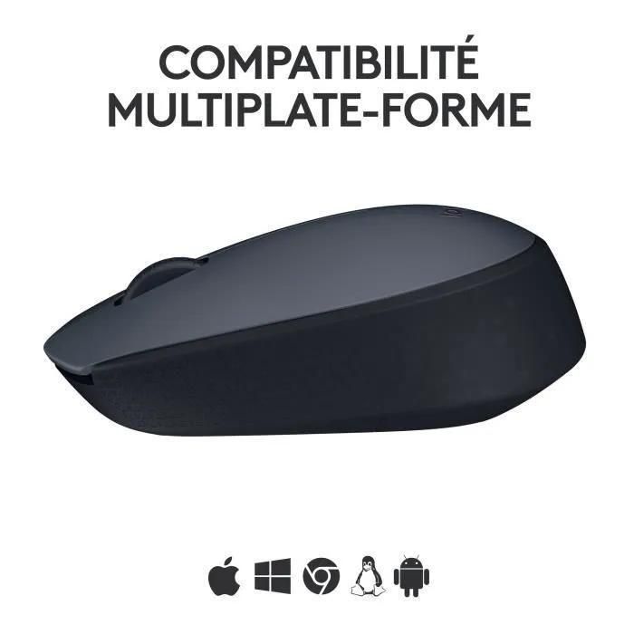 Logitech M170 - Souris - sans fil - 2.4 GHz - r�cepteur sans fil USB - 4