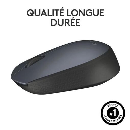 Logitech M170 - Souris - sans fil - 2.4 GHz - r�cepteur sans fil USB - 5