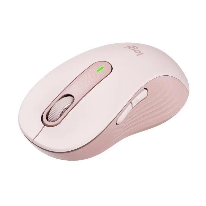 Logitech Signature M650 L - Souris - grande taille - optique - 5 boutons - ...