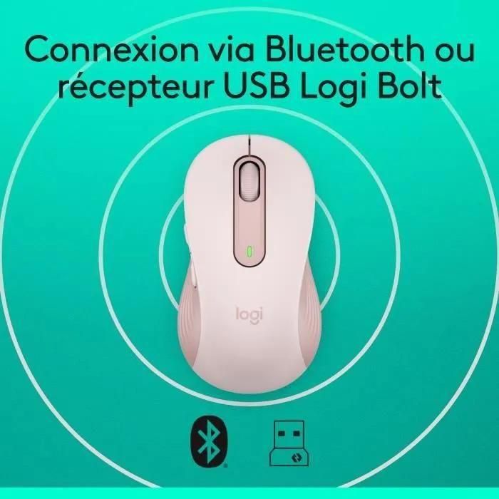 Logitech Signature M650 L - Souris - grande taille - optique - 5 boutons - ... - 6