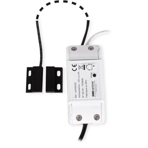 Module r�cepteur - SCS SENTINEL - WifiGate - Connect� - 2