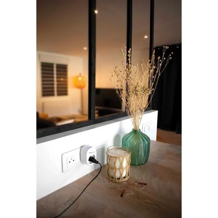 Prise connect�e - SmartPlug - SCS SENTINEL - 2