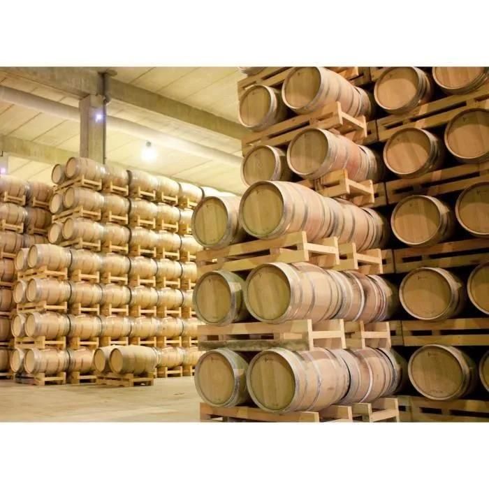 Baron De Lestac 2019 Bordeaux - Vin Rouge De Bordeaux - Terra Vitis - 6