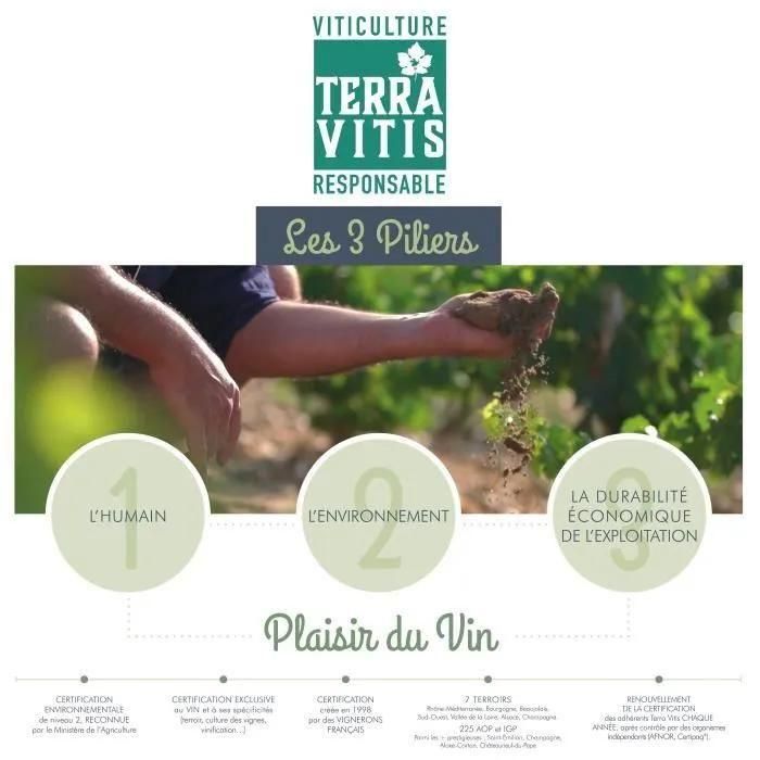 Baron De Lestac 2019 Bordeaux - Vin Rouge De Bordeaux - Terra Vitis - 7
