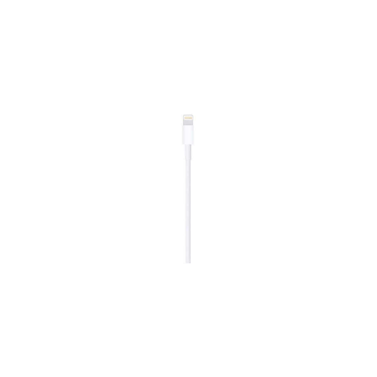 Apple - C�ble Lightning - Lightning m�le pour USB m�le - 1 m - 3