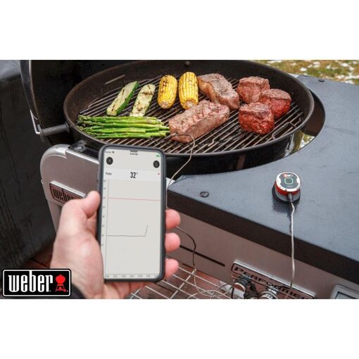 Thermom�tre de cuisson WEBER IGrill mini - 3