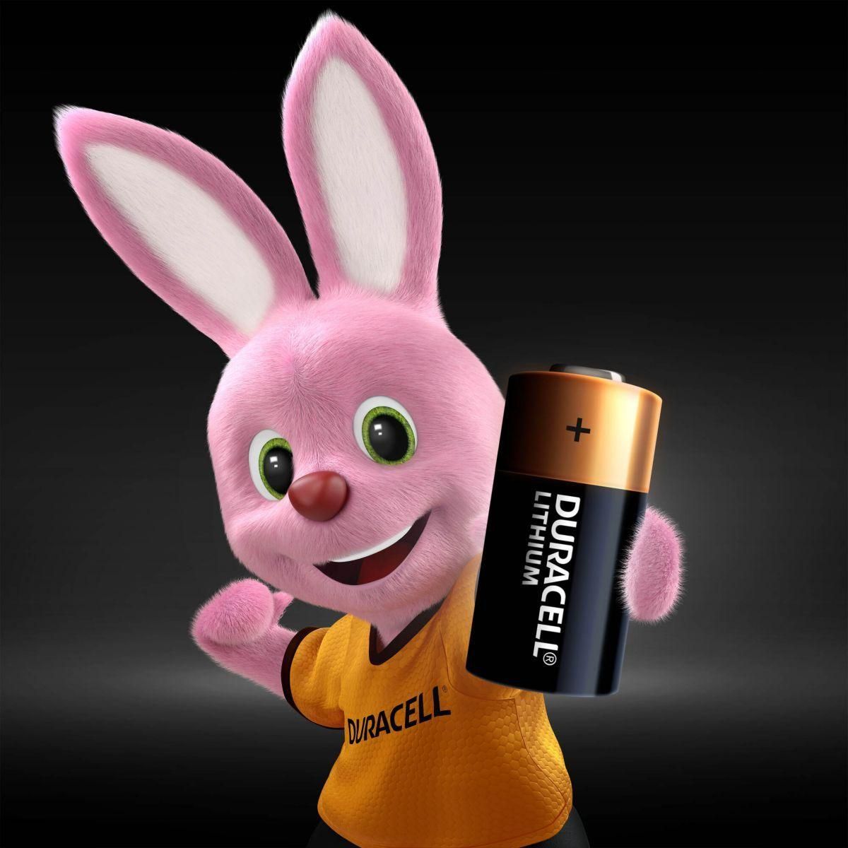 Pile DURACELL 2450 X2 - 4