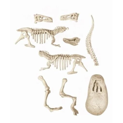 Science & Jeu Laboratoire Archéo Ludic - Vélociraptor - 6