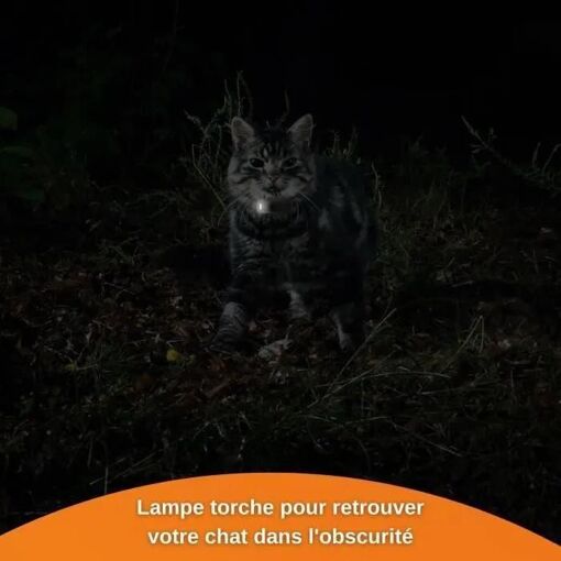 Traceur GPS pour Chat - Weenect XS (White Edition 2023) - 5
