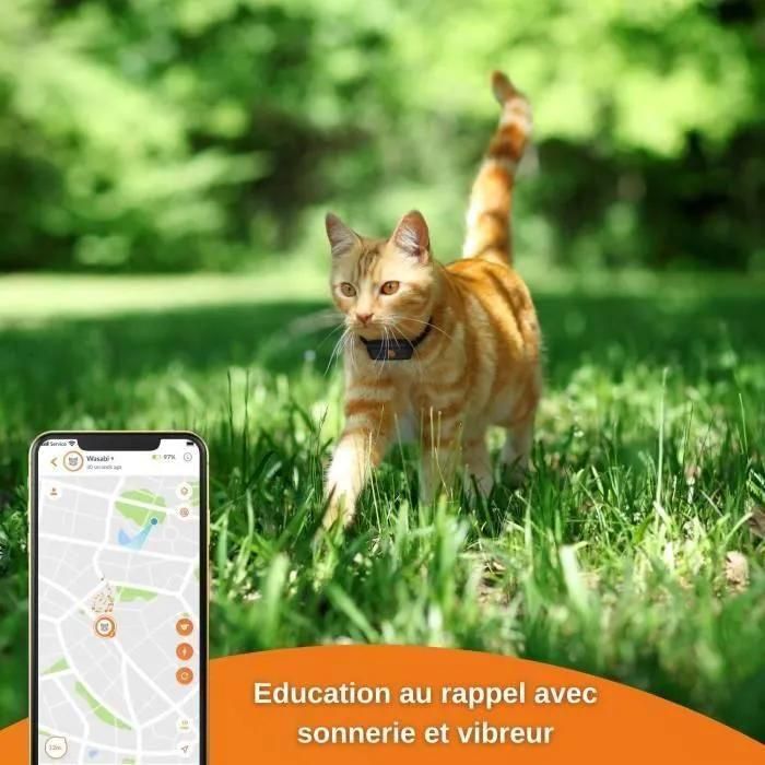 Traceur GPS pour Chat - Weenect XS (Black �dition 2023) - 3