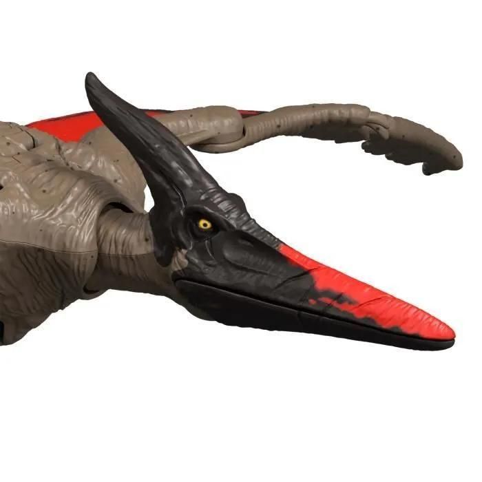 Pteranodon Sonore - 3