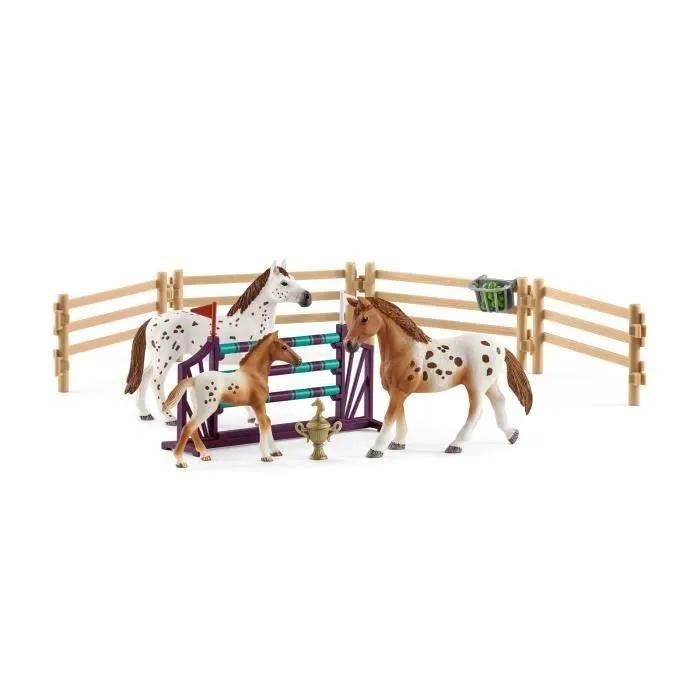Horse Club Entra�nement Au Concours De Lisa - 2