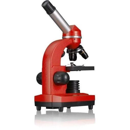 Microscope Bresser Junior Biolux Sel Rouge - 5