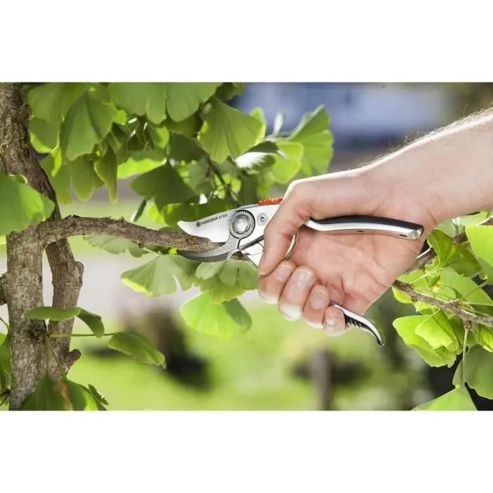 S�cateur pro BP 50 - 5