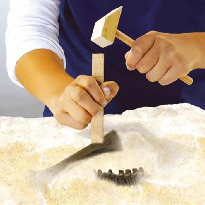 Ses Creative Explore Recherche Ton Dinosaures Et De Squelettes 2 En 1 - 5