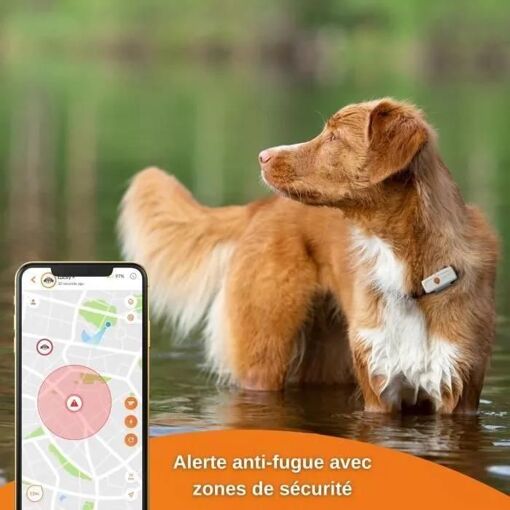 Traceur GPS pour Chien - Weenect XS (White Edition 2023) - 4