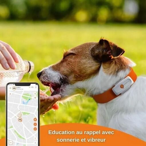 Traceur GPS pour Chien - Weenect XS (White Edition 2023) - 5