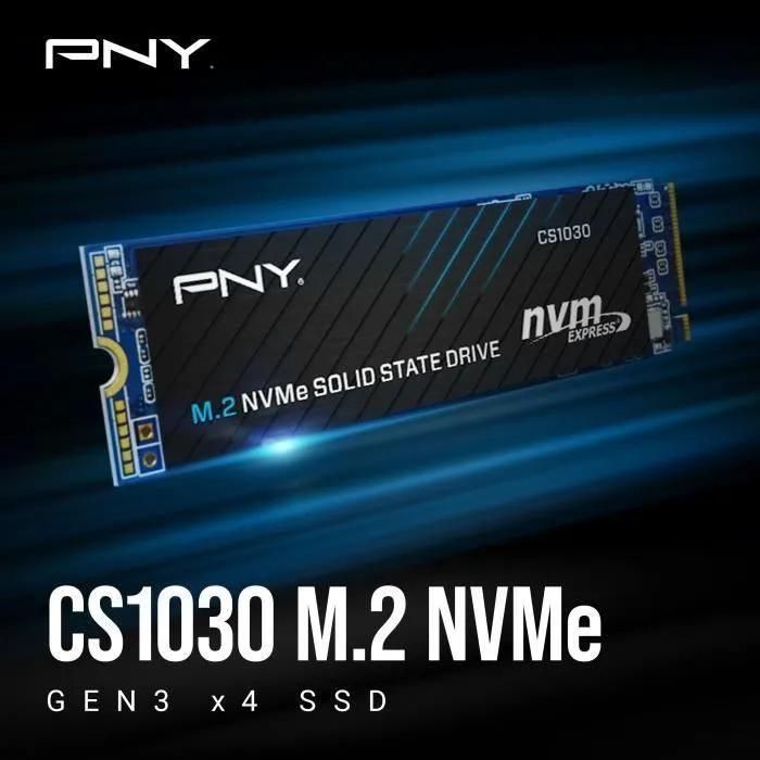 Disque SSD Interne - PNY - CS1030 M.2 GEN3 - 250 Go - NVMe (M280CS1030-250-... - 5