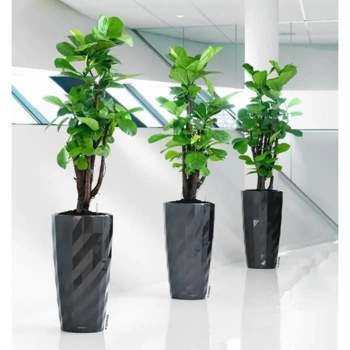 Pot De Fleur Lechuza Diamante Premium - Kit Complet, Anthracite Mtallis - 2