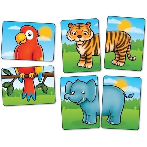 Jungle Heads & Tails - 3