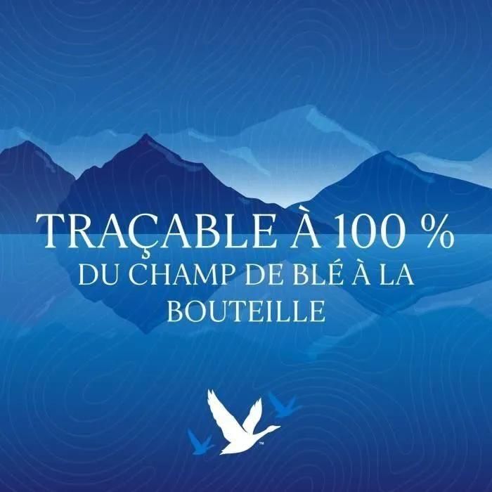 Grey Goose Original - 4