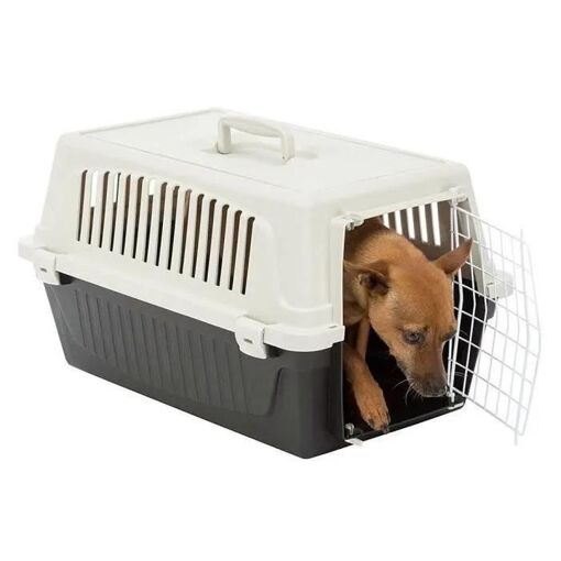 1 X CM 48X32 H.CM 29 ATLAS 10 FERPLAST PORTE-CHAT - 4