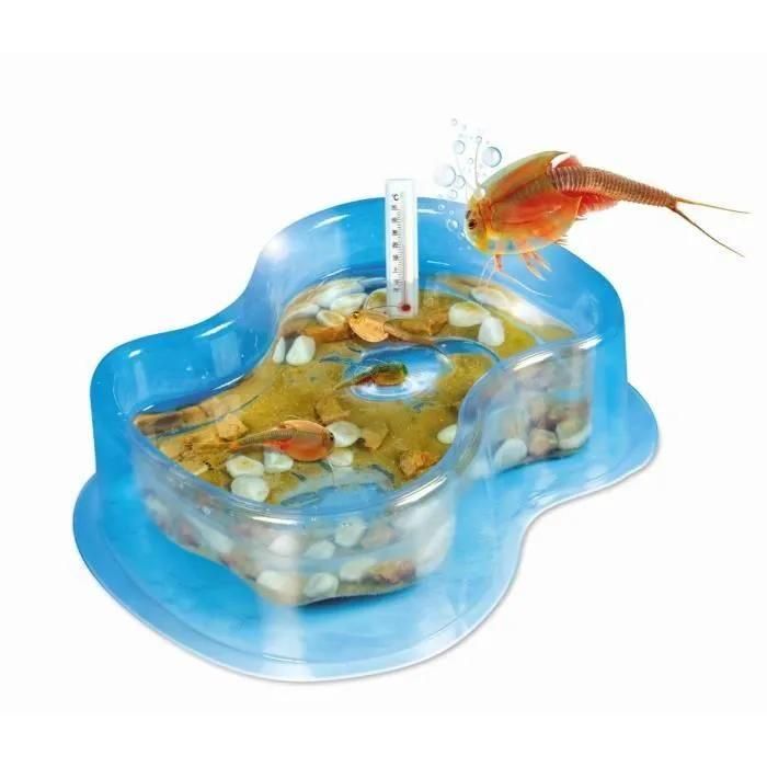 Science & Jeu Laboratoire Mes Premiers Triops - 2