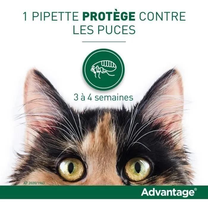 Solution Advantage 80 Chat Et Lapin 6 Pip. - 4