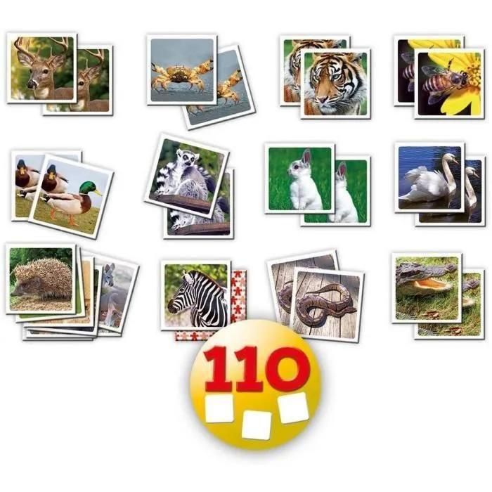Identic Nature 110 Cartes - 2