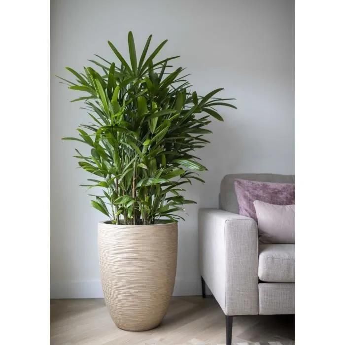 Capi Pot  Fleurs Waste Rib 46x58 Cm Beige Terrazzo - 2