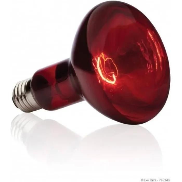 Basking Spot Lampe Infrarouge 75 W - 2