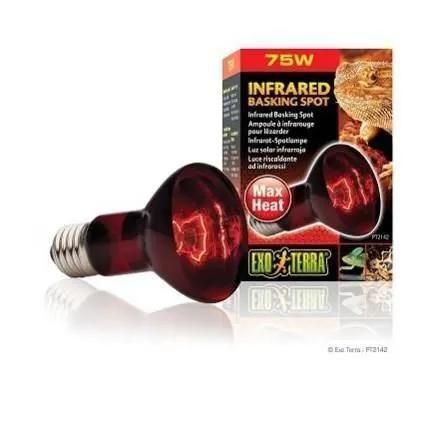 Basking Spot Lampe Infrarouge 75 W - 3