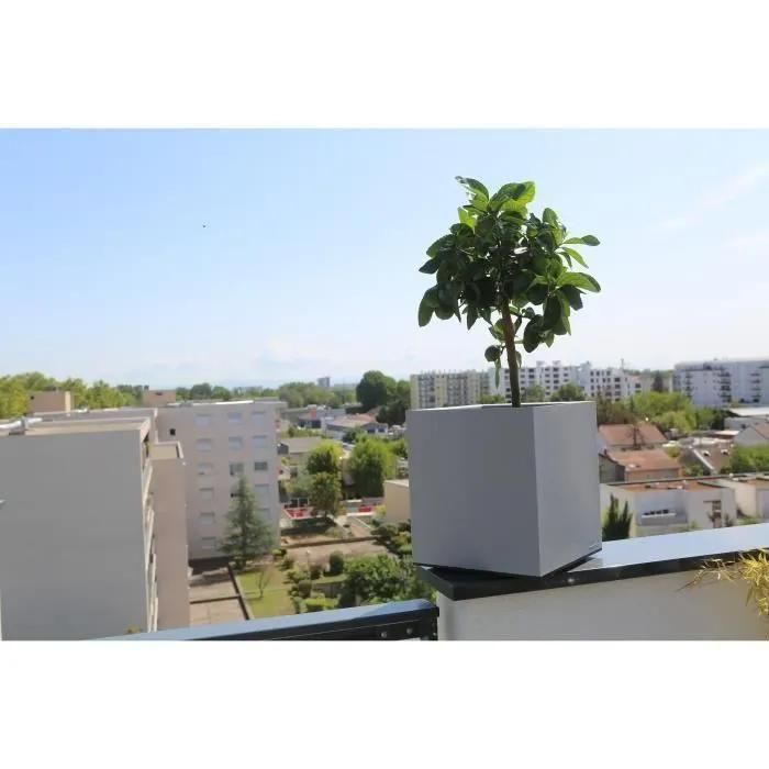 Riviera Bac Granit - 40x40 Cm - Stone - 4