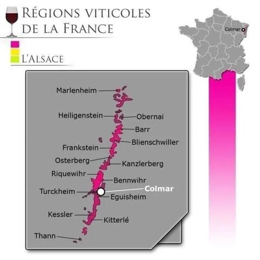 Pierre Brecht Riesling - Vin Blanc D'alsace - 4